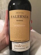 Falernia Reserva Carménère 2013